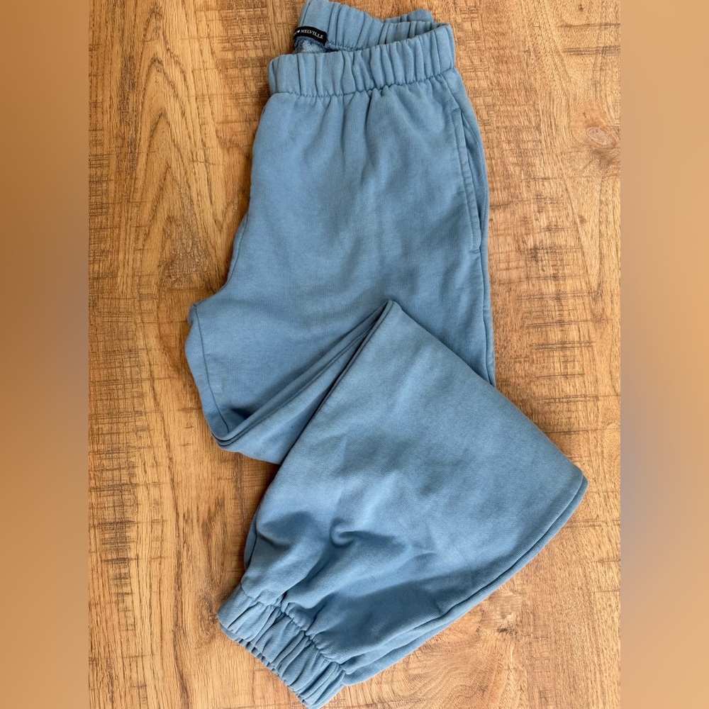Brandy Melville Blue sweatpants joggers